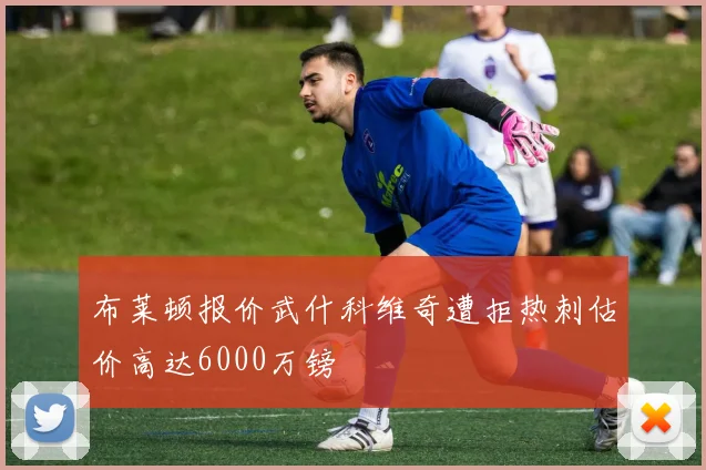 布莱顿报价武什科维奇遭拒热刺估价高达6000万镑
