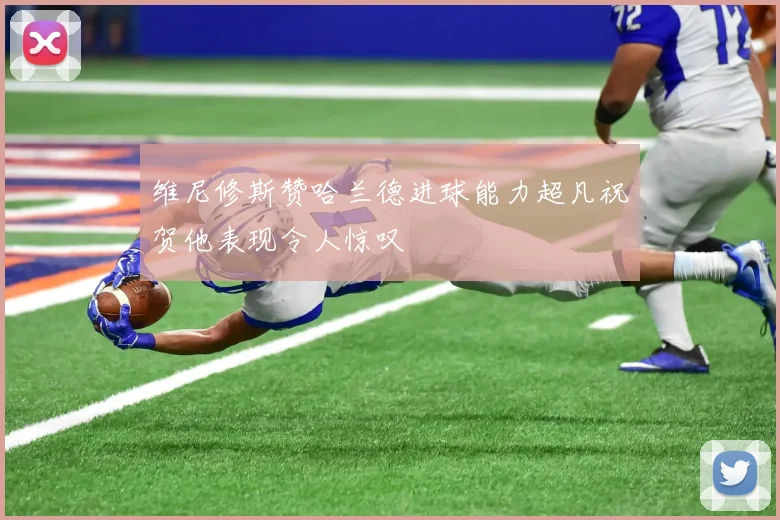 维尼修斯赞哈兰德进球能力超凡祝贺他表现令人惊叹