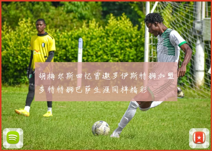胡梅尔斯回忆曾邀罗伊斯特狮加盟多特特狮巴萨生涯同样精彩